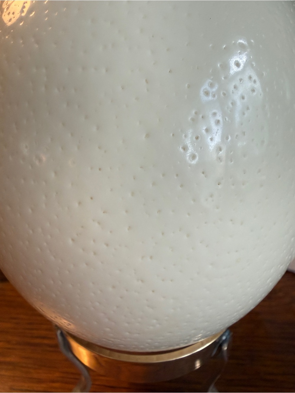 Large Real Blown Ostrich Egg - Picture 7 of 17